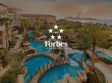 Фото отеля The Ritz-Carlton Dubai