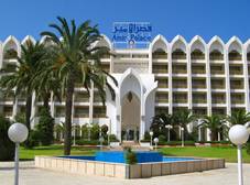 Фото отеля Amir Palace