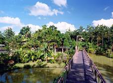 Фото отеля Sepilok Jungle Resort, Sandakan