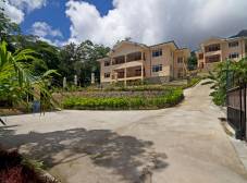 Фото отеля The Palm Seychelles