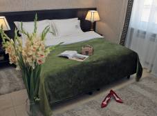 Фото отеля Родина Отель&Спа