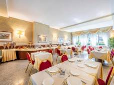 Фото отеля Ascot