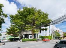 Фото отеля Blu Monkey Bed Breakfast Phuket