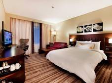 Фото отеля Hilton Garden Inn Sanliurfa