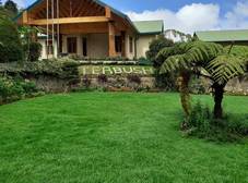 Фото отеля Tea Bush Hotel