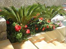 Фото отеля Scala Hotel Apartments