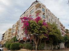 Фото отеля Golden Rose