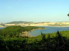 Фото отеля Whale Island Resort