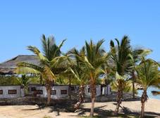 Фото отеля Mangrove Bay Resort