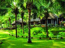 Фото отеля Soma Manaltheeram Ayurveda Beach Village