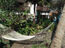 Фото отеля Langi Langi Beach Bungalows