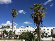Фото отеля La Residence Hammamet