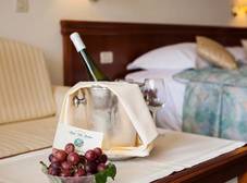 Фото отеля Hotel Villa Bacchus