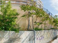 Фото отеля Barton Park