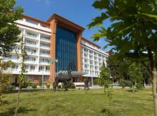 Фото отеля Chinar Hotel & SPA Naftalan