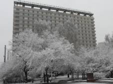 Фото отеля Гостиница Университетская