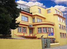 Фото отеля Yellow Rose Pension