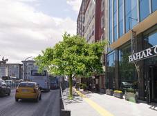Фото отеля Yeni Bahar Otel