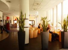 Фото отеля ibis Marseille Centre Euromed