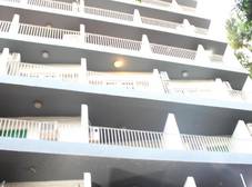Фото отеля Pharaohs Hotel Cairo