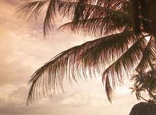 Фото отеля Rummana Boutique Resort