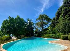 Фото отеля Mangrove Lodge