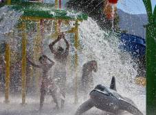 Фото отеля Arminda Hotel