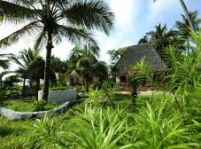 Фото отеля Waikiki Zanzibar Resort