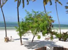 Фото отеля Indigo Beach Zanzibar