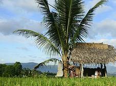 Фото отеля Sanak Retreat Bali, Munduk /Buleleng