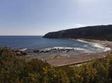 Фото отеля Evita Sun Resort