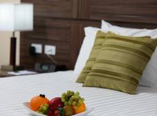 Фото отеля Clarion Victoria Hotel and Suites Panama