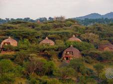 Фото отеля Serengeti Serena Safari Lodge