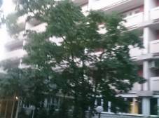 Фото отеля Москвич