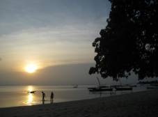 Фото отеля Menai Bay Beach Bungalows (Unguja Ukuu)