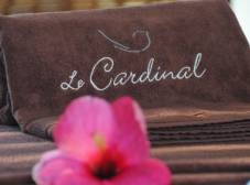 Фото отеля Le Cardinal Exclusive Resort