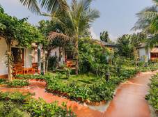 Фото отеля Palm Hill Resort