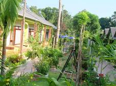 Фото отеля Mai Binh Phuong Bungalow