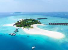 Фото отеля Dhigufaru Island Resort