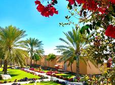 Фото отеля The View, Hail Al Shas /Al Hamra