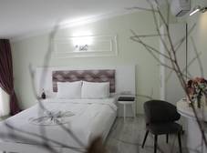 Фото отеля The Wolf Hotel