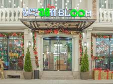 Фото отеля Hotel Bloom