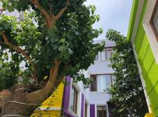 Фото отеля The Zanadu Istanbul