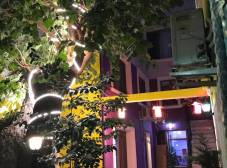 Фото отеля The Xanadu Istanbul