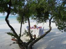Фото отеля Pearl Beach Resort & Spa Zanzibar