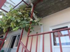 Фото отеля Гостевой дом Алиса