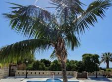 Фото отеля Hotel Rural Finca Salamanca