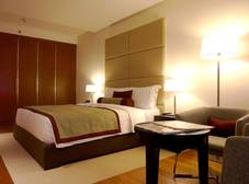 Фото отеля Oryx Airport Hotel
