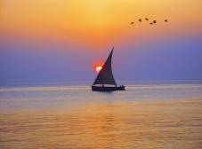 Фото отеля Mocco Beach Villa