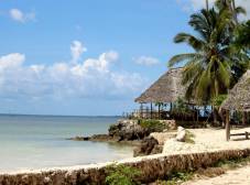 Фото отеля Coconut Tree Village Beach Resort Zanzibar